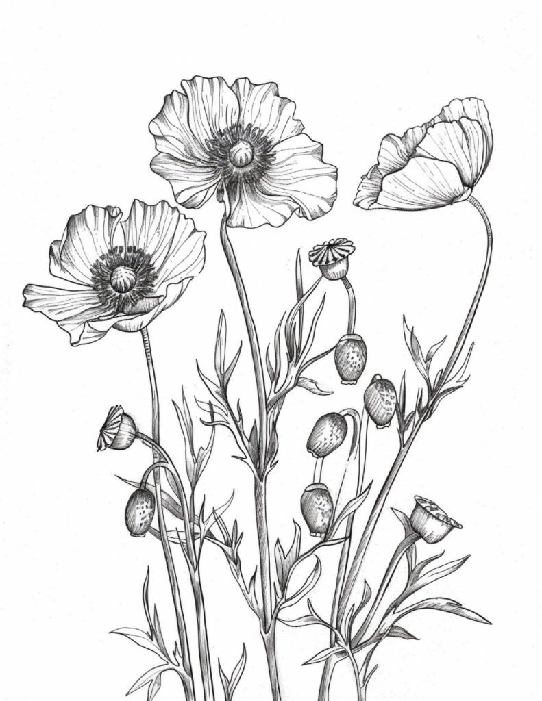 Best Flowers coloring images 2025 3 Bold and Easy Flower Coloring Pages for Adults 10 flowers,Flowers coloring,Best Flowers coloring images 2025,coloring sheets flowers,coloring flowers,adult coloring pages with flowers,water color flowers,adult coloring pages flowers,flowers coloring sheet,red color flowers,blue colored perennial flowers