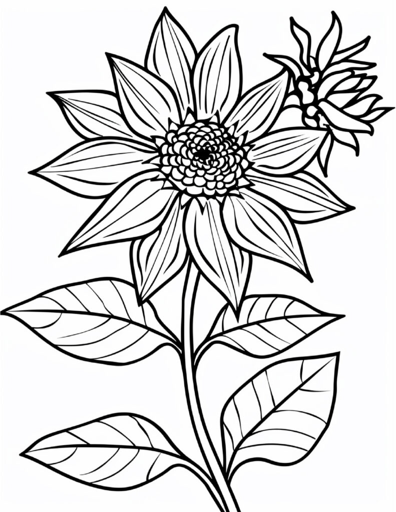 Best Flowers coloring images 2025 5 Bold and Easy Flower Coloring Pages for Adults 12 flowers,Flowers coloring,Best Flowers coloring images 2025,coloring sheets flowers,coloring flowers,adult coloring pages with flowers,water color flowers,adult coloring pages flowers,flowers coloring sheet,red color flowers,blue colored perennial flowers